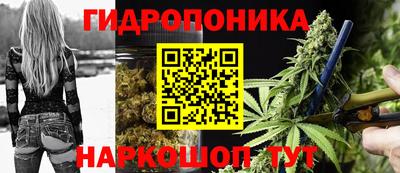 ПСИЛОЦИБИНОВЫЕ ГРИБЫ Обь