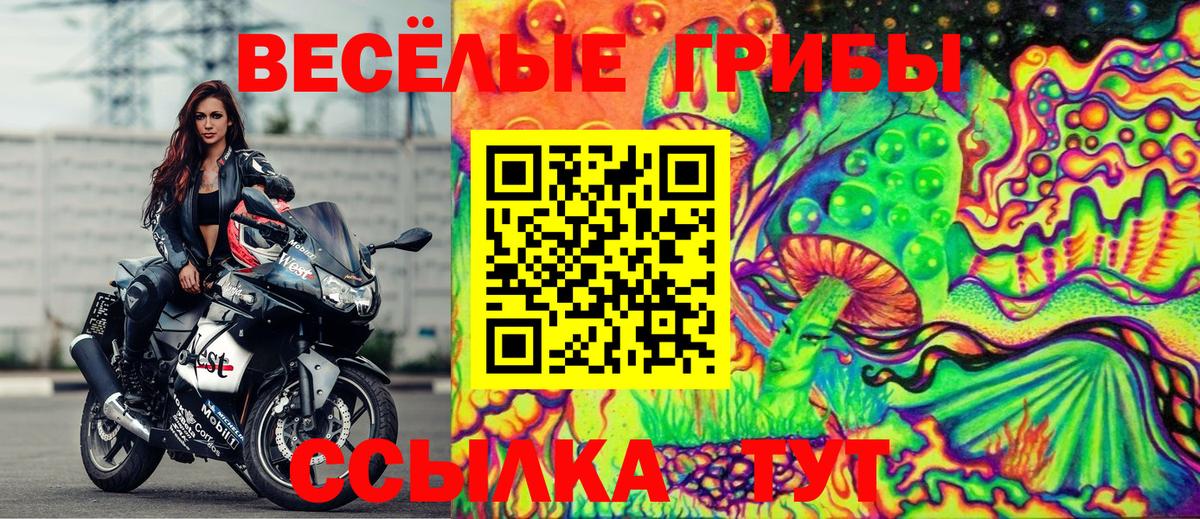 Псилоцибиновые грибы GOLDEN TEACHER Саранск