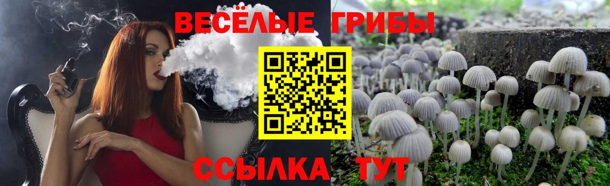 Саранск  Галлюциногенные грибы Cubensis  Вход с VPN 