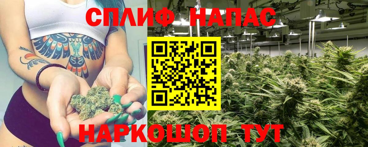 Конопля AK-47 Саранск